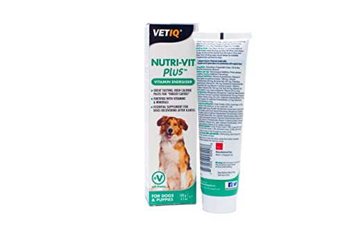 VetIQ Nutri-Vit Plus, 100g, Dog Supplement with Vitamins & Minerals, For Convalescing Dogs, Extra Energy & Nutrition In Easy Paste, One of the Essential Health Supplies For Dogs