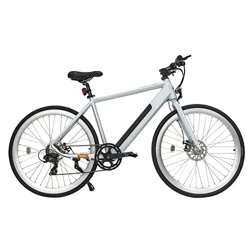 Rymic Infinity 26'' Electric City Bike, Dual Torque Sensor with Removable Lithium Battery for Adults, 21 Speed Shifter Electric Bicycle with LCD Meter (Silver White)