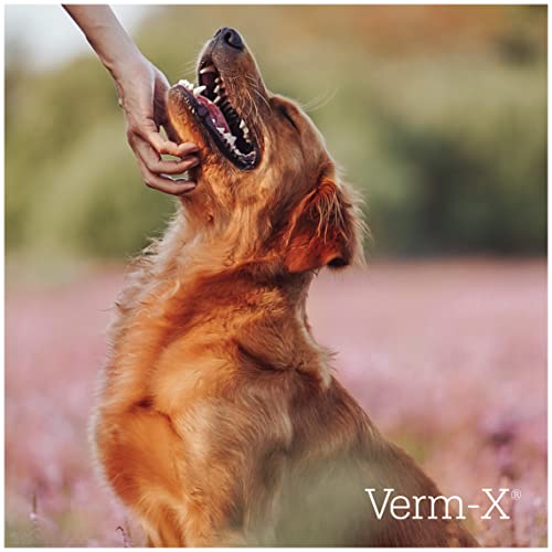 Verm-X All Natural Liquid Supplement for Dogs, Supports Intestinal Hygiene & Gut Vitality, Wormwood Free Recipe and Vet Approved - 250ml Suitable for all Dogs