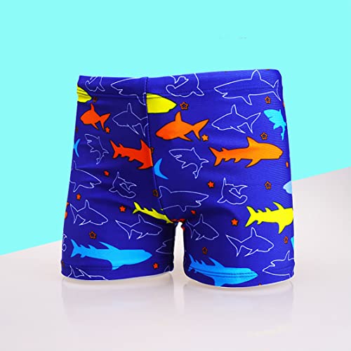 NautySaurs 2 Pack Boys Swimming Trunks 1-10 Years Kids Swimwear Dinosaur Shark Shorts (Shark-Royal Blue+Navy Blue, 8-10 Years)