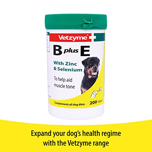 Vetzyme | Conditioning Dog Supplements, Promotes Health & Vitatlity | Supports Immune System | Nutritional Savoury Treat (240 Tablets)