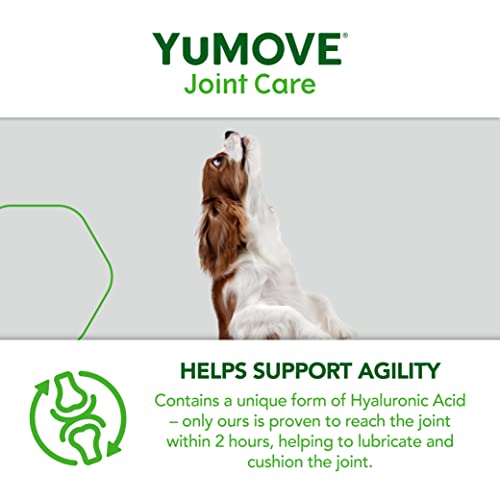 YuMOVE Young and Active Dog | Joint Supplement for Dogs to Support Active and Growing Joints for Dogs Aged Under 6 | 60 Tablets