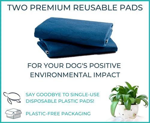 PET IMPACT Washable Puppy Pads, Dog Incontinence Pads, XL Reusable Dog Pee Pad and Puppy Training Pads, Easy Wash and Dry 2-Pad Box (Midnight Blue, 35"x32")