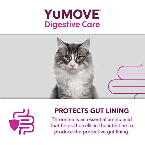 YuMOVE Digestive Care PLUS | Previously YuDIGEST PLUS | Veterinary Strength Fast-acting Probiotic Digestive Support for Dogs, All Ages and Breeds | 6 Sachets | Packaging may vary