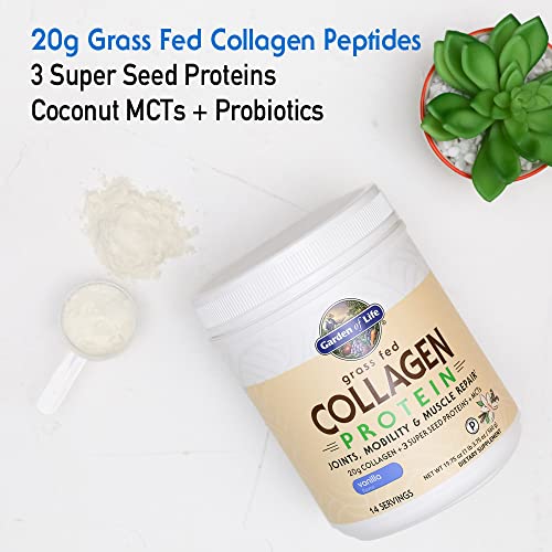 Garden of Life Grass Fed Collagen Protein Powder - Vanilla, 14 Servings, Collagen Powder for Joints Mobility Muscle Repair, Collagen Peptides Super Seeds Coconut MCTs, Keto Collagen Supplements 560g