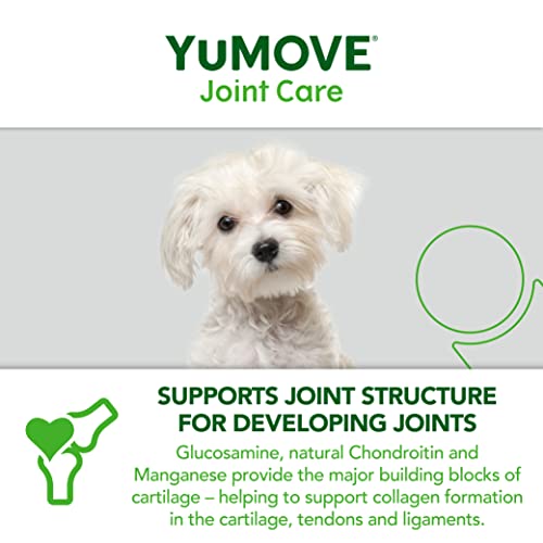 YuMOVE Young and Active Dog | Joint Supplement for Dogs to Support Active and Growing Joints for Dogs Aged Under 6 | 60 Tablets