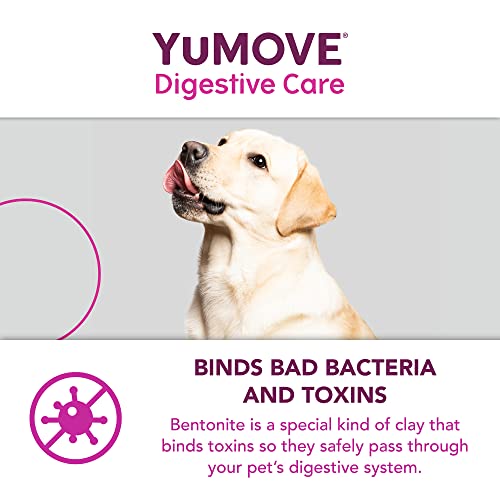 YuMOVE Digestive Care PLUS | Previously YuDIGEST PLUS | Veterinary Strength Fast-acting Probiotic Digestive Support for Dogs, All Ages and Breeds | 6 Sachets | Packaging may vary