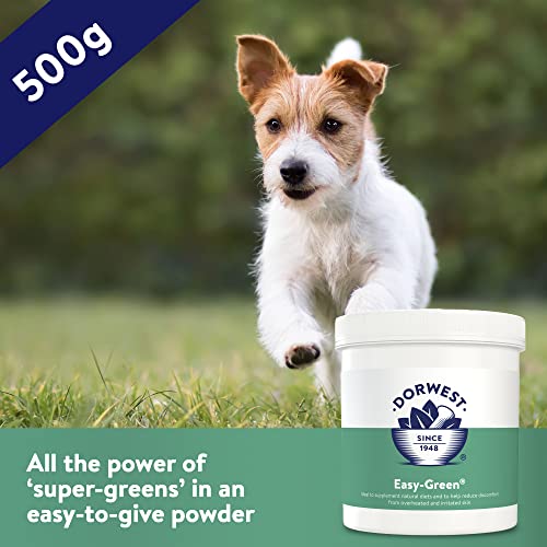 DORWEST HERBS Easy-Green Powder 500g, Super Green Raw Diet Supplement for Dogs, Itch Relief for Dogs and Cats – Natural Supplement for Cats and Dogs with Allergies, (14DOR027)