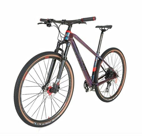 Twitter W 12 Speed Full Carbon Fiber Mountain Bike Bicycle New