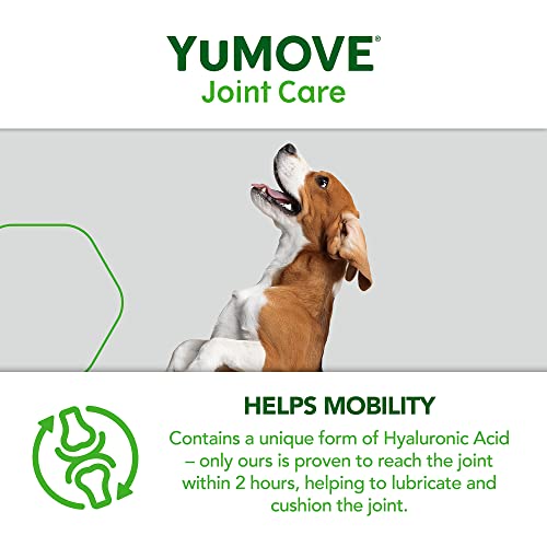 YuMOVE Adult Dog | Joint Supplement for Adult Dogs, with Glucosamine, Chondroitin, Green Lipped Mussel | Aged 6 to 8 | 120 Tablets,Package may vary