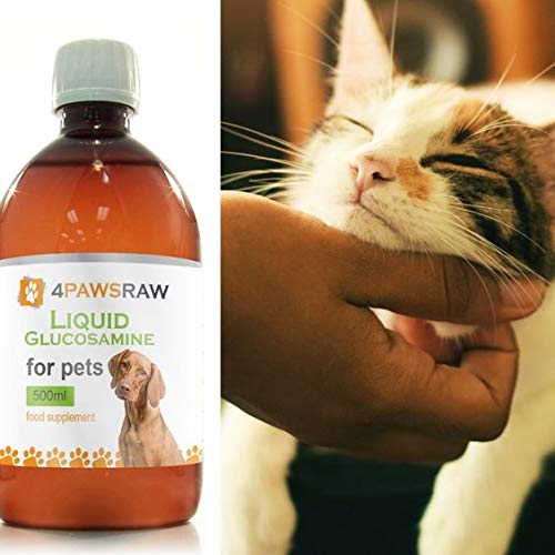 4PAWSRAW Liquid Joint Care Supplement with Glucosamine for Dogs and Cats - 500 ml