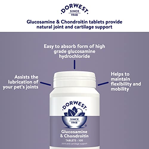 Dorwest Glucosamine & Chondroitin 100 Tablets For Dogs and Cats, Joint Supplements for Dogs and Cats – Supports Joint Mobility and Comfort