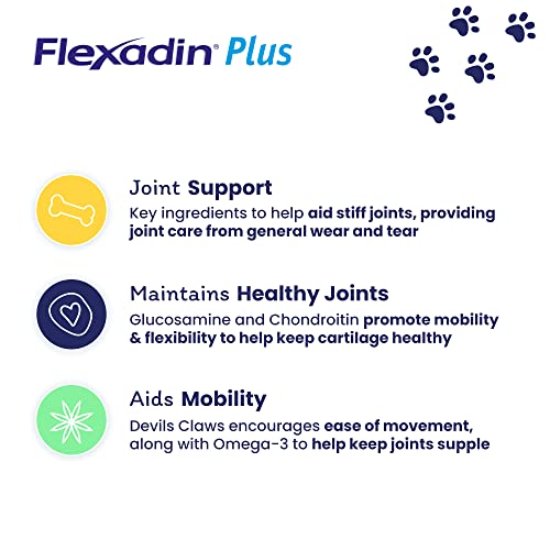 Flexadin Plus Joint Supplement Chews for Medium and Large Dogs (over 10kg) | Aids Mobility & Flexibility| Glucosamine, Chondroitin, Omega 3 & Vitamin E| 90 Chews