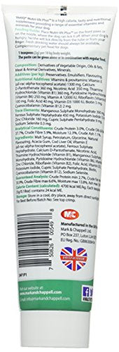 VetIQ Nutri-Vit Plus, 100g, Dog Supplement with Vitamins & Minerals, For Convalescing Dogs, Extra Energy & Nutrition In Easy Paste, One of the Essential Health Supplies For Dogs