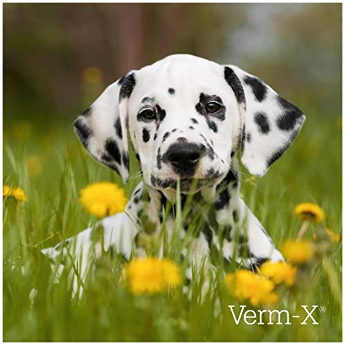 Verm-X All Natural Liquid Supplement for Dogs, Supports Intestinal Hygiene & Gut Vitality, Wormwood Free Recipe and Vet Approved - 250ml Suitable for all Dogs