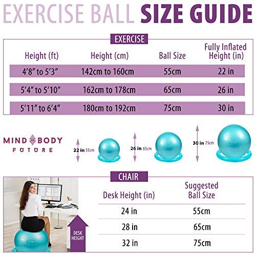 Yoga Ball Chair - Exercise Ball & Stability Ring. For Pregnancy, Balance, Pilates or Birthing Therapy. Use at Office, Gym or Home. Anti-Burst and Anti-Slip Premium Grade (65cm, Regal Blue)