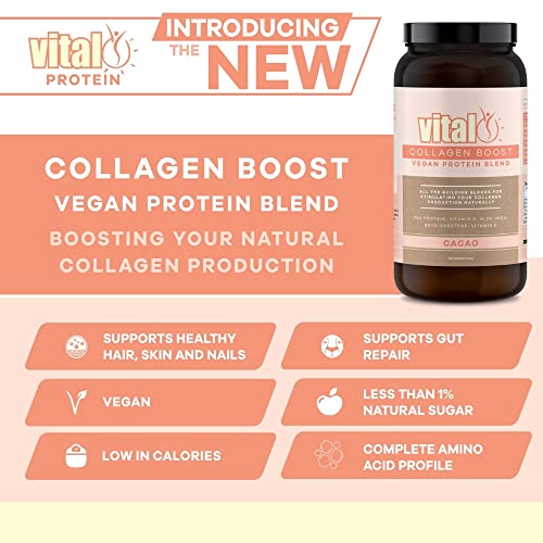 Vital Collagen Boost Vegan Protein Blend Cacao 500GM