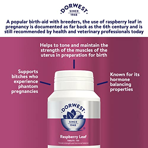 Dorwest Raspberry Leaf Tablets for Dogs And Cats, 100 Tablets, Pregnancy Support For Pets – For Natural Hormonal Balance and Phantom Pregnancies