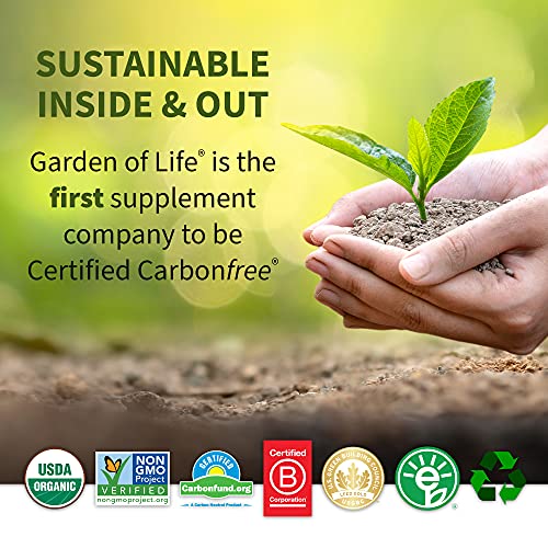 Garden of Life Grass Fed Collagen Protein Powder - Vanilla, 14 Servings, Collagen Powder for Joints Mobility Muscle Repair, Collagen Peptides Super Seeds Coconut MCTs, Keto Collagen Supplements 560g