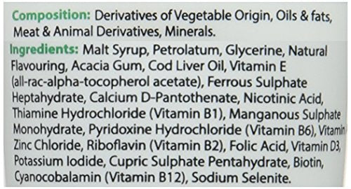 VetIQ Nutri-Vit Plus, 100g, Dog Supplement with Vitamins & Minerals, For Convalescing Dogs, Extra Energy & Nutrition In Easy Paste, One of the Essential Health Supplies For Dogs