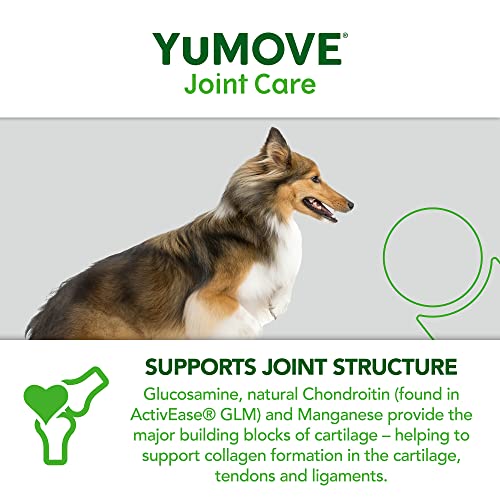 YuMOVE Adult Dog | Joint Supplement for Adult Dogs, with Glucosamine, Chondroitin, Green Lipped Mussel | Aged 6 to 8 | 120 Tablets,Package may vary