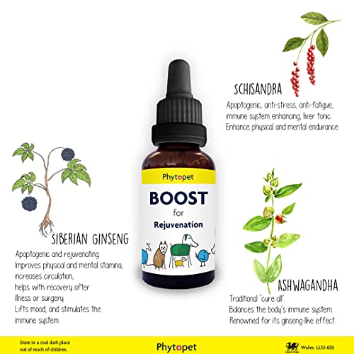 Phytopet Boost | 100% Natural Herbal Remedy | Promotes Mental And Physical Stamina, Genral Tonic, "Pick Me Up" | For Dogs, Cats, Birds, Horses, Pets | 30ml |