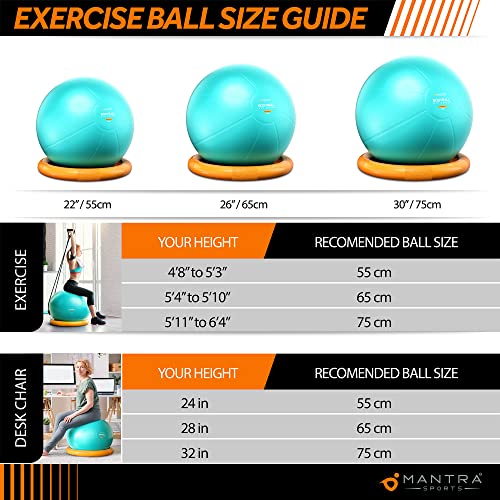 Exercise Ball Gym Ball with Resistance Bands & Stability Base Accessories, Yoga Ball Pregnancy Ball for Maternity, Birthing Ball for Fitness & Balance, 55cm 65cm 75cm Swiss Balls with Pump & A1 Poster