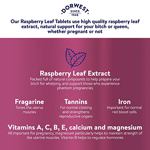 Dorwest Raspberry Leaf Tablets for Dogs And Cats, 100 Tablets, Pregnancy Support For Pets – For Natural Hormonal Balance and Phantom Pregnancies