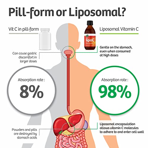 New Liposomal Vitamin C 1000mg with Organic Acerola Cherry :: LipoC for Immune System, Collagen | 1g Liquid Non-GMO Sunflower Lecithin | Natural lypo-spheric C (High Strength) 250ml