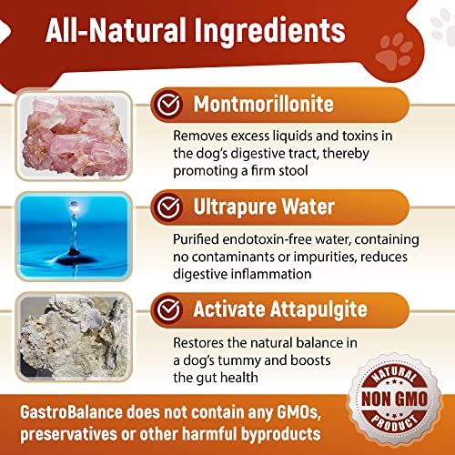 GastroBalance Fast-acting Diarrhoea Relief for Dogs – Natural Dog Diarrhea Treatment with Immediate Results (SMALL Dogs)