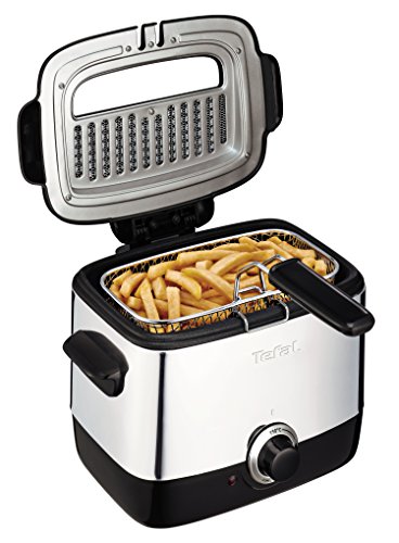 Tefal FF220040 Mini Deep Fryer, (2 Portions), 0.6 Kg Capacity, 1000 W, Stainless Steel