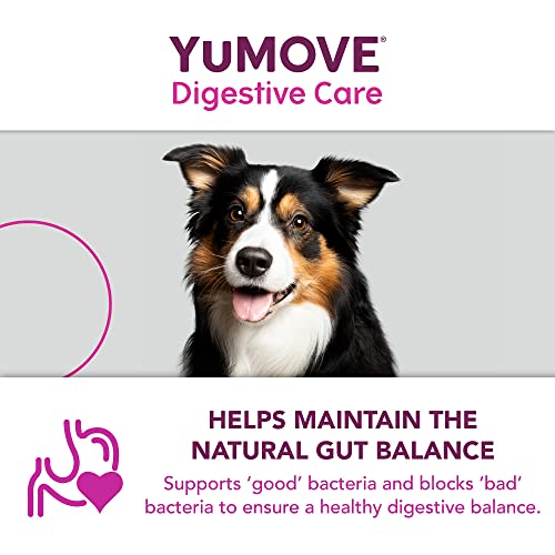 YuMOVE Digestive Care PLUS | Previously YuDIGEST PLUS | Veterinary Strength Fast-acting Probiotic Digestive Support for Dogs, All Ages and Breeds | 6 Sachets | Packaging may vary