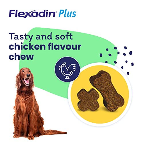 Flexadin Plus Joint Supplement Chews for Medium and Large Dogs (over 10kg) | Aids Mobility & Flexibility| Glucosamine, Chondroitin, Omega 3 & Vitamin E| 90 Chews