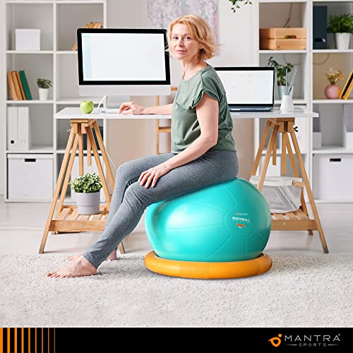 Exercise Ball Gym Ball with Resistance Bands & Stability Base Accessories, Yoga Ball Pregnancy Ball for Maternity, Birthing Ball for Fitness & Balance, 55cm 65cm 75cm Swiss Balls with Pump & A1 Poster