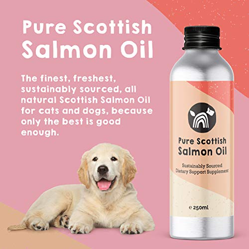 NCP Premium Scottish Salmon Oil | 100% Pure & Natural Pet Supplement for Dogs & Cats | Contains Healthy Omega-3 Fatty Acids to Improves Join Mobility & Strengthen Pet Immune Systems