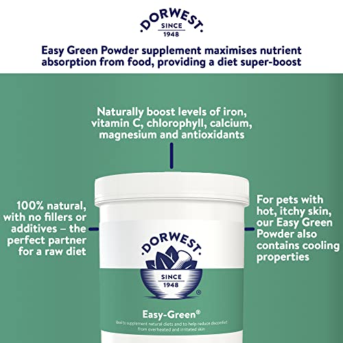 DORWEST HERBS Easy-Green Powder 500g, Super Green Raw Diet Supplement for Dogs, Itch Relief for Dogs and Cats – Natural Supplement for Cats and Dogs with Allergies, (14DOR027)