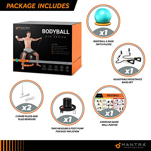 Exercise Ball Gym Ball with Resistance Bands & Stability Base Accessories, Yoga Ball Pregnancy Ball for Maternity, Birthing Ball for Fitness & Balance, 55cm 65cm 75cm Swiss Balls with Pump & A1 Poster