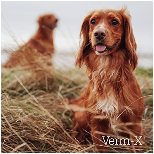 Verm-X All Natural Liquid Supplement for Dogs, Supports Intestinal Hygiene & Gut Vitality, Wormwood Free Recipe and Vet Approved - 250ml Suitable for all Dogs