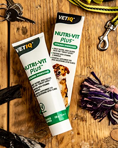 VetIQ Nutri-Vit Plus, 100g, Dog Supplement with Vitamins & Minerals, For Convalescing Dogs, Extra Energy & Nutrition In Easy Paste, One of the Essential Health Supplies For Dogs