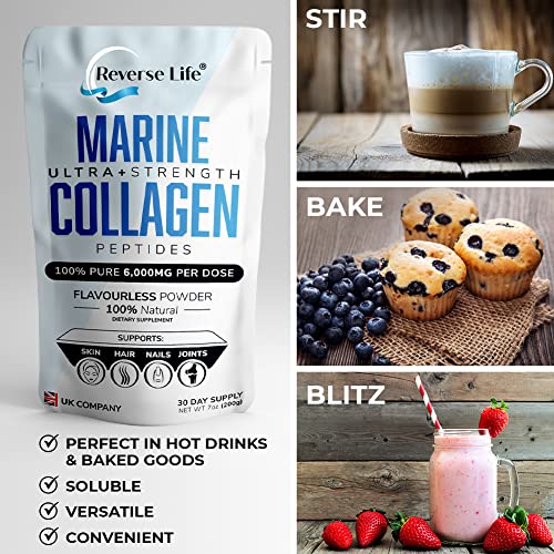 Reverse Life Marine Collagen Powder Supplement - High-Strength 6000mg Hydrolysed Marine Peptide Gluten-Free Dairy-Free & Keto-Friendly for Hair Skin Nails Joints & Gut Health, 200gms, 30 Day Supply