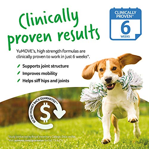 YuMOVE Daily Bites For Senior Dogs | High Strength Hip and Joint Supplement| Aged 9+ | 150 Chews & YuMOVE Senior Dog | High Strength Hip and Joint Supplement Designed for Older| Aged 9+ | 120 Tablets