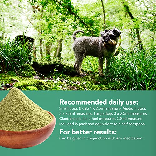 DORWEST HERBS Easy-Green Powder 500g, Super Green Raw Diet Supplement for Dogs, Itch Relief for Dogs and Cats – Natural Supplement for Cats and Dogs with Allergies, (14DOR027)