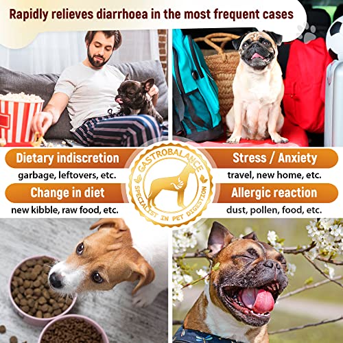 GastroBalance Fast-acting Diarrhoea Relief for Dogs – Natural Dog Diarrhea Treatment with Immediate Results (SMALL Dogs)