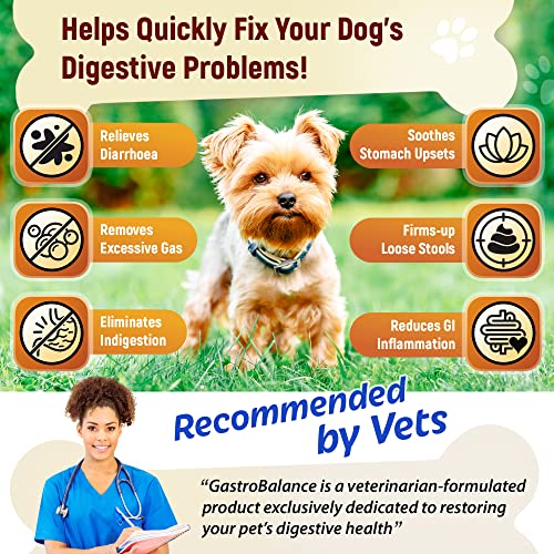 GastroBalance Fast-acting Diarrhoea Relief for Dogs – Natural Dog Diarrhea Treatment with Immediate Results (SMALL Dogs)